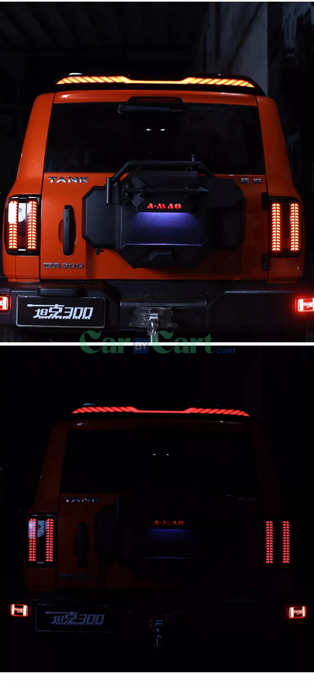 2025 تانك 300 جناح ذيل خفيف متدفق بلونين