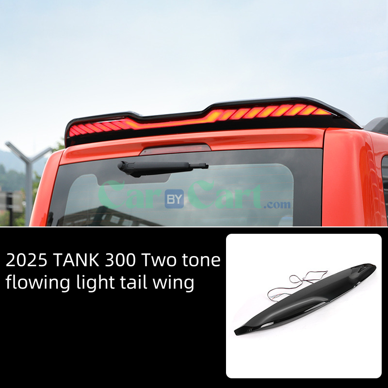 2025 تانك 300 جناح ذيل خفيف متدفق بلونين