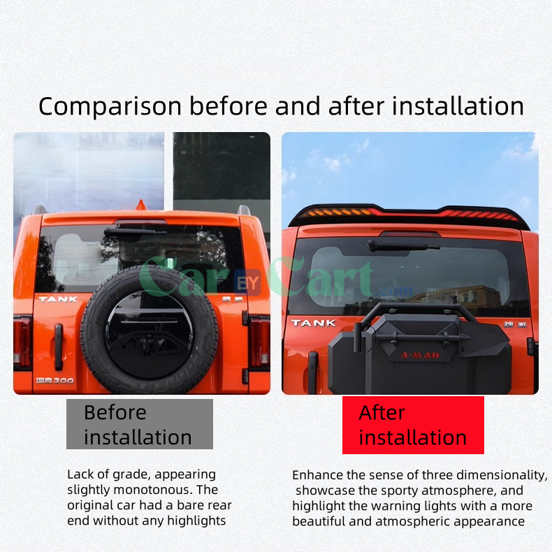 2025 تانك 300 جناح ذيل خفيف متدفق بلونين