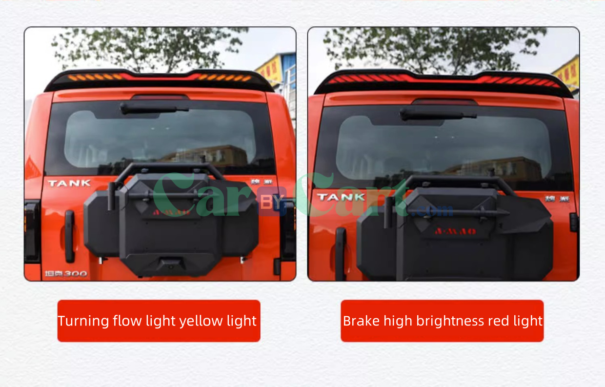 2025 تانك 300 جناح ذيل خفيف متدفق بلونين