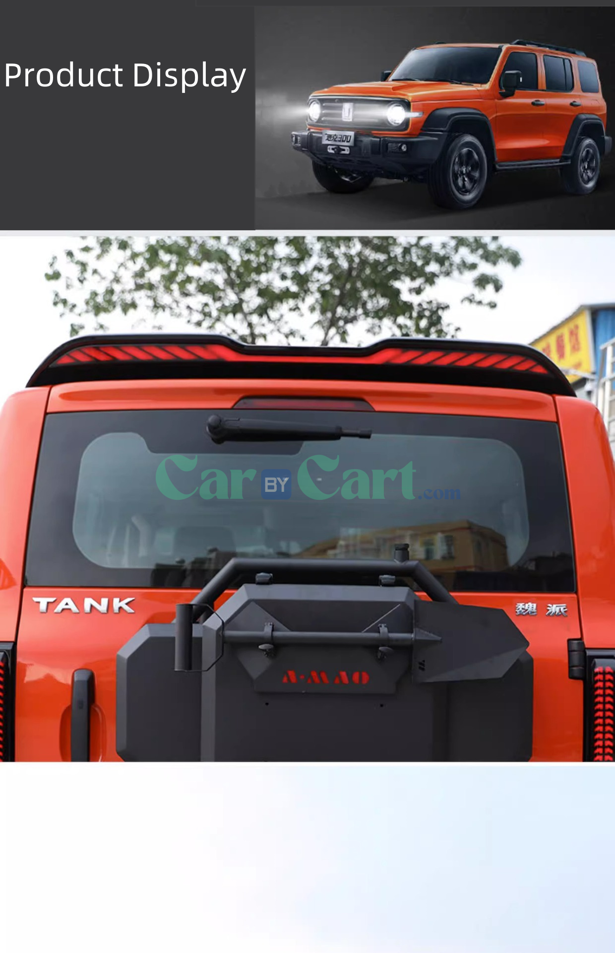 2025 تانك 300 جناح ذيل خفيف متدفق بلونين