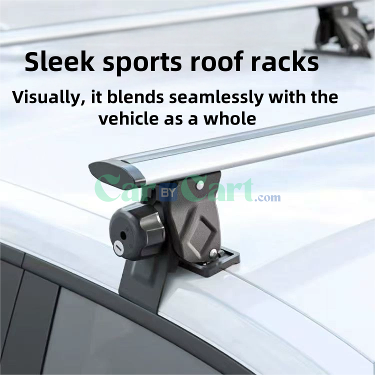 2024 Han DM-p Mars luggage rack & Roof Top Cargo Box