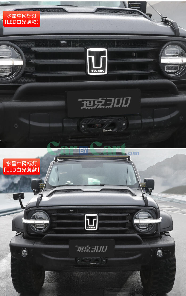 2025 TANK 300 thin Grille illuminated car emblem