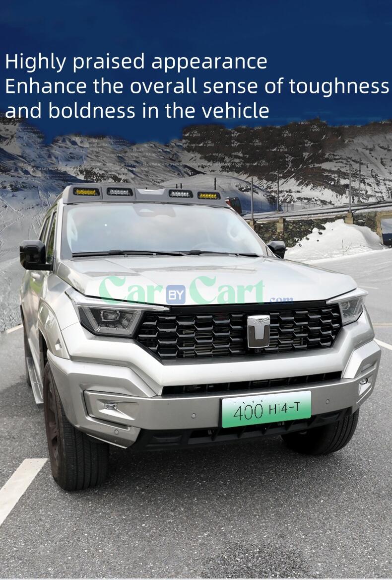 2024 تانك 400 سيارة جديدة للطاقة مصبغة أمامية على شكل قرص العسل