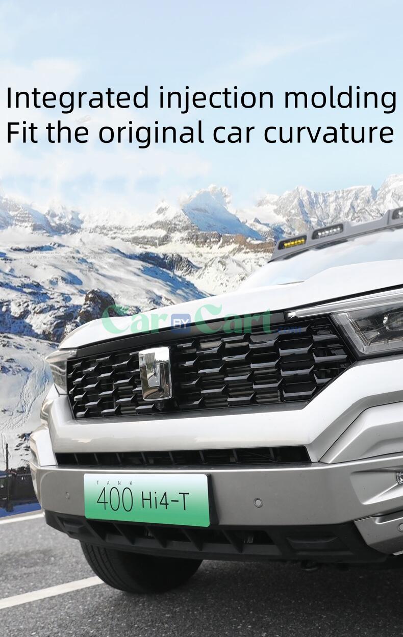 2024 تانك 400 سيارة جديدة للطاقة مصبغة أمامية على شكل قرص العسل