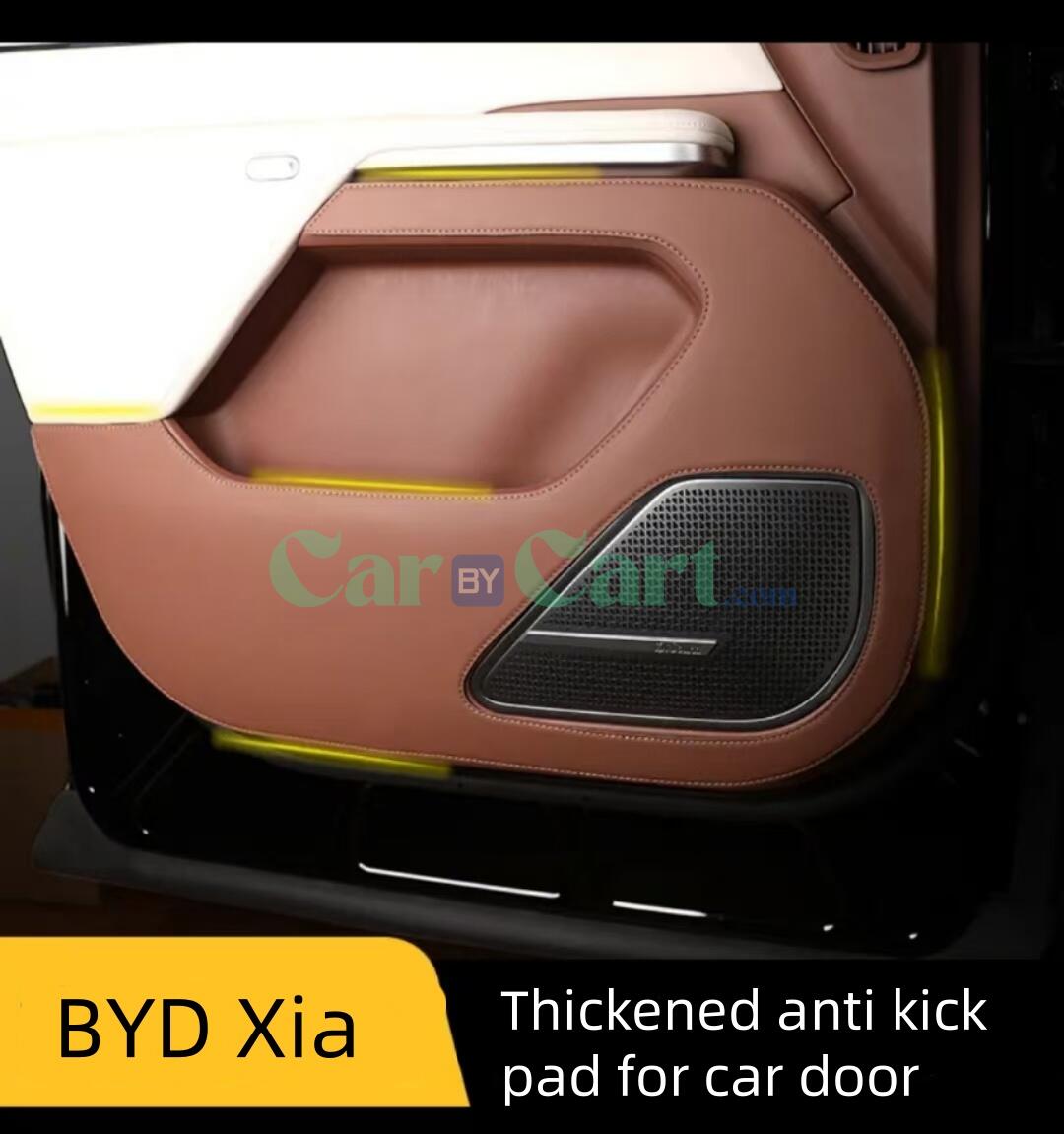 2025 BYD Xia PU مادة الباب ضد الضربات