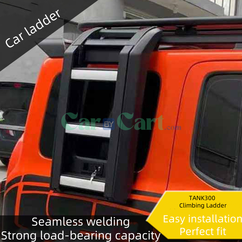 2024 TANK300 Folding ladder