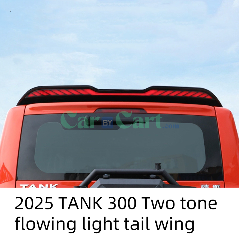 2025 TANK 300 Two tone flowing light tail wing