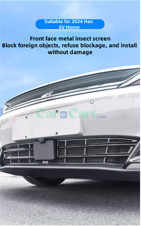2024 Han EV Honor Insect Net