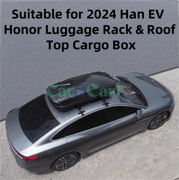 2024 Han EV Honor Luggage Rack & Roof Top Cargo Box