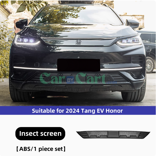 2024 Tang EV Honor Insect net