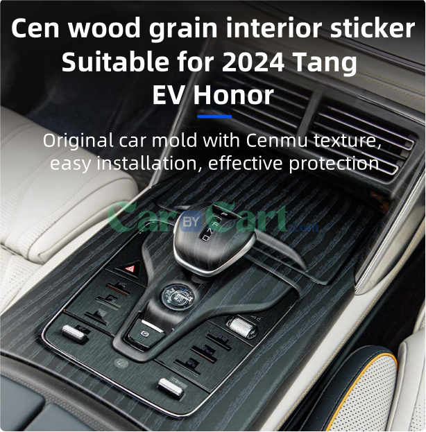 2024 Tang EV Honor Interior Kit