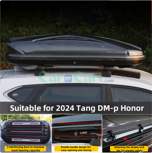 2024 Tang DM-p Honor Luggage Rack & Roof Top Cargo Box