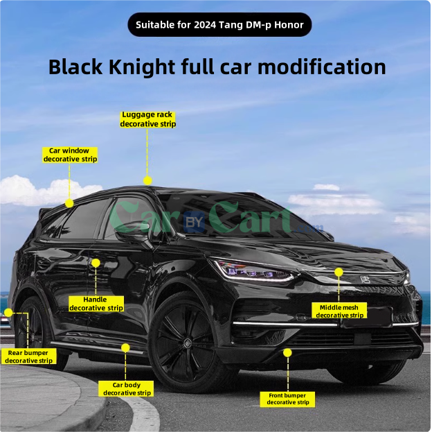 2024 Tang DM-p Honor Black Knight Appearance Kit