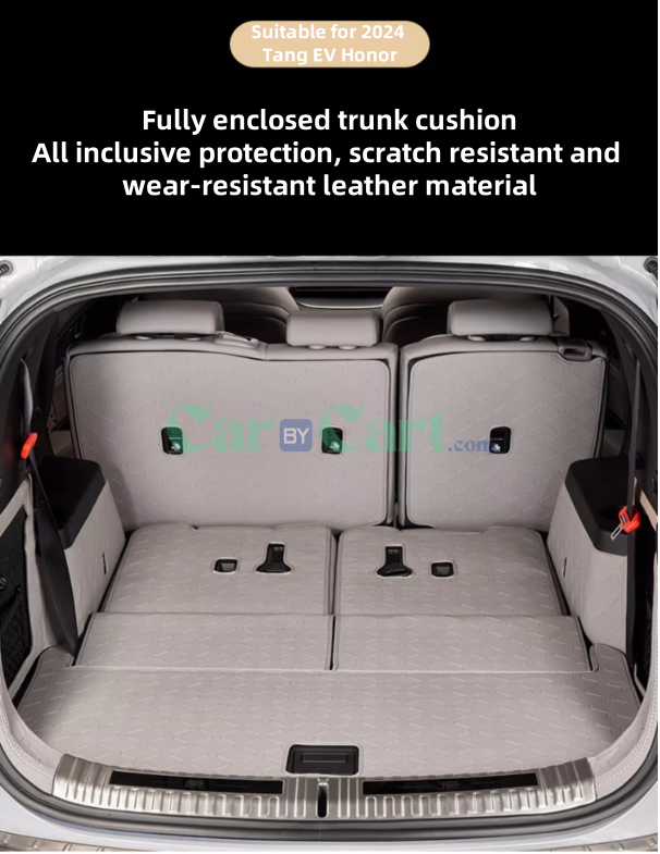 2024 Tang EV Honor Trunk mat