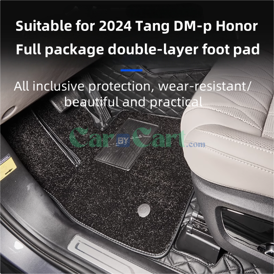 2024 Tang DM-p Honor Floor mat