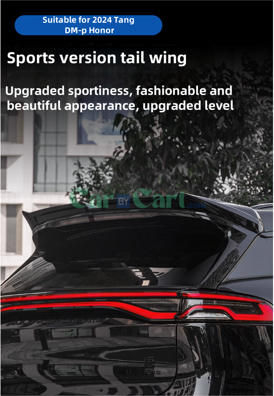 2024 Tang DM-p Honor rear wing