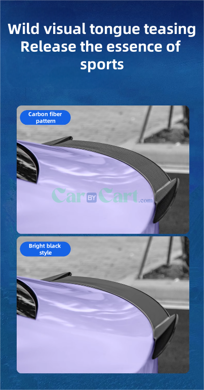 2024 QIN PLUS DM-i Honor rear wing