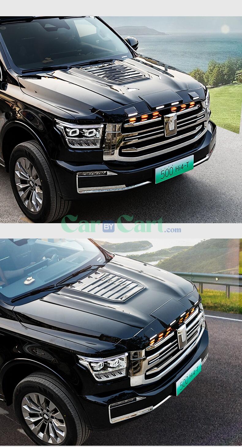 2025 TANK500NEW ENERGY Exterior kit for hood cover