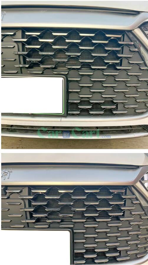 2024 QIN PLUS DM-i Honor Insect net