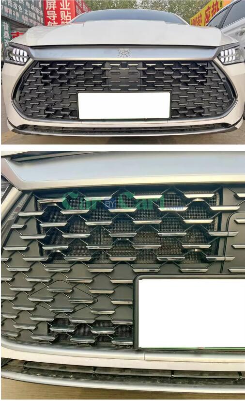 2024 QIN PLUS DM-i Honor Insect net