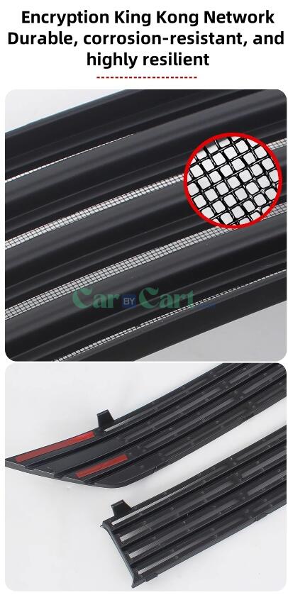 2024 QIN PLUS EV Honor Insect net