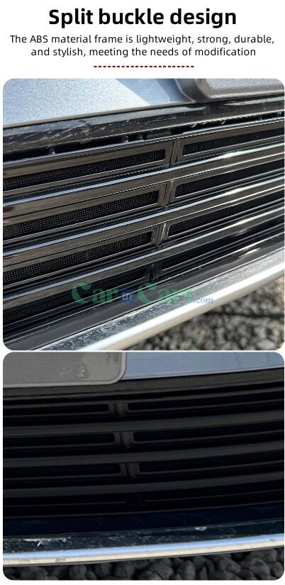 2024 QIN PLUS EV Honor Insect net