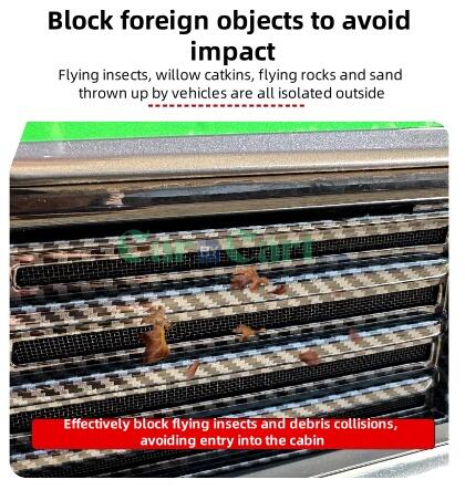 2024 QIN PLUS EV Honor Insect net