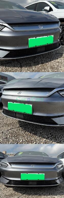 2024 QIN PLUS EV Honor Insect net