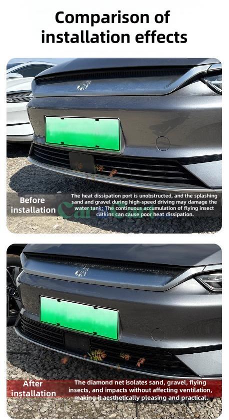 2024 QIN PLUS EV Honor Insect net