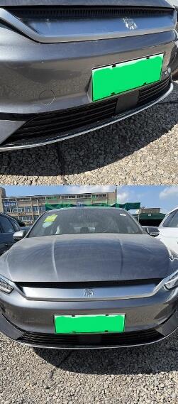 2024 QIN PLUS EV Honor Insect net