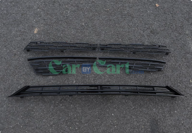 2024 QIN L DM-i Insect set