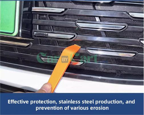 2024 QIN L DM-i Insect set