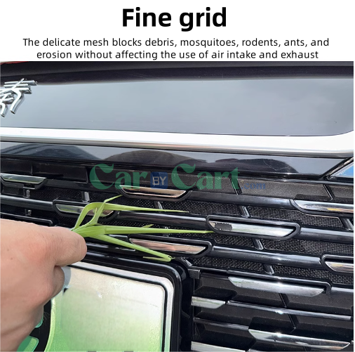 2024 QIN L DM-i Insect set