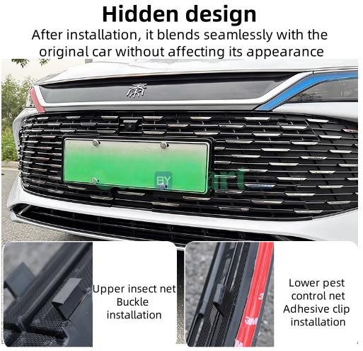 2024 QIN L DM-i Insect set