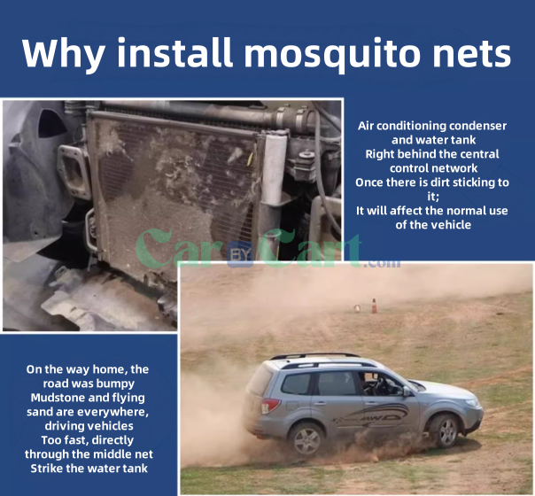 2024 QIN L DM-i Insect set