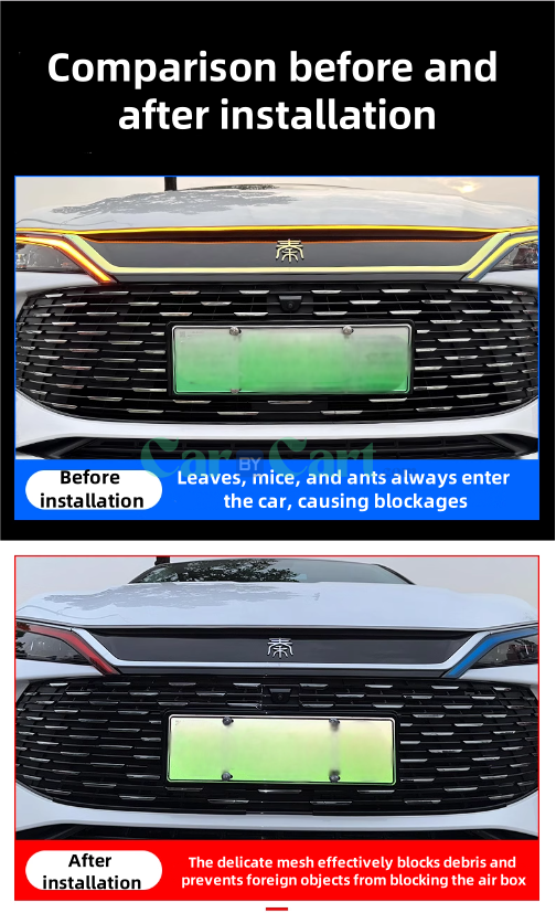 2024 QIN L DM-i Insect set