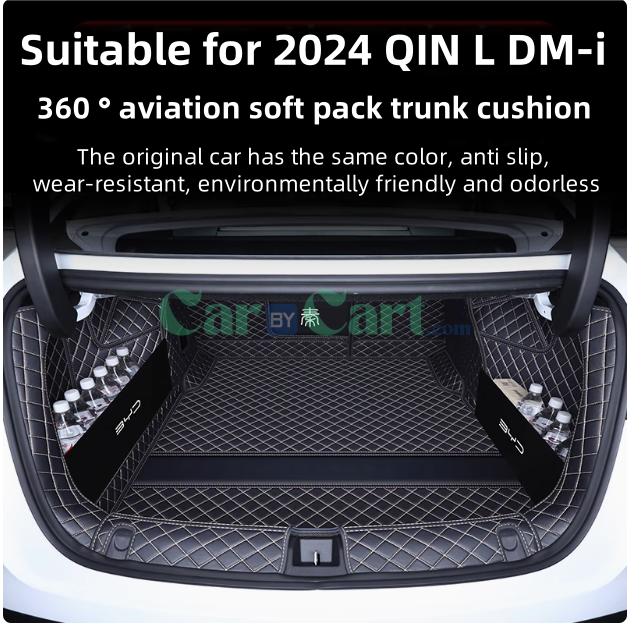 2024 QIN L DM-i Trunk mat