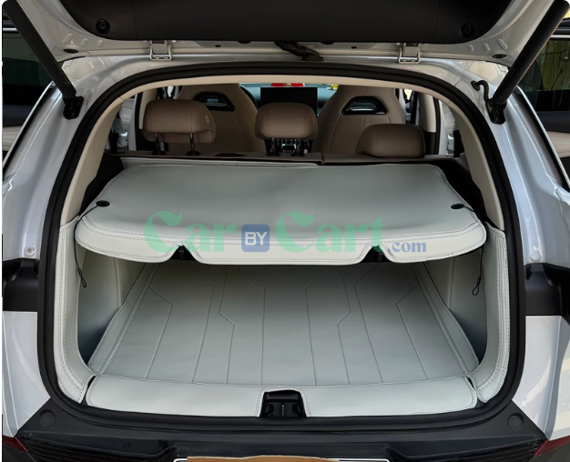 2024 Yuan PLUS Honor Trunk mat and Partition pad