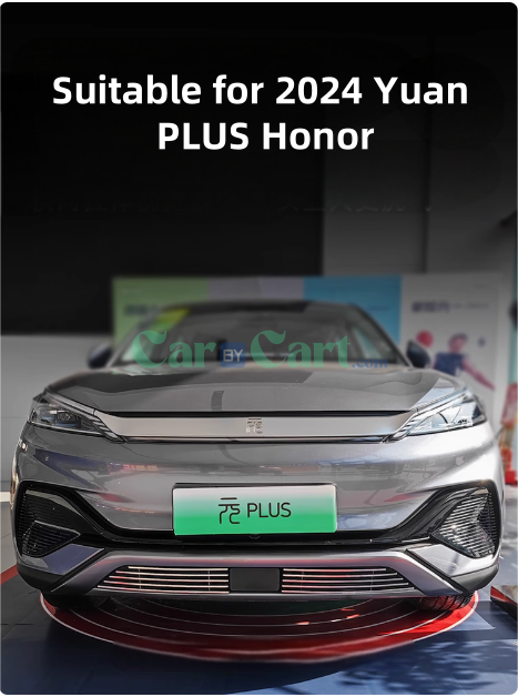 2024 Yuan PLUS Honor insect net