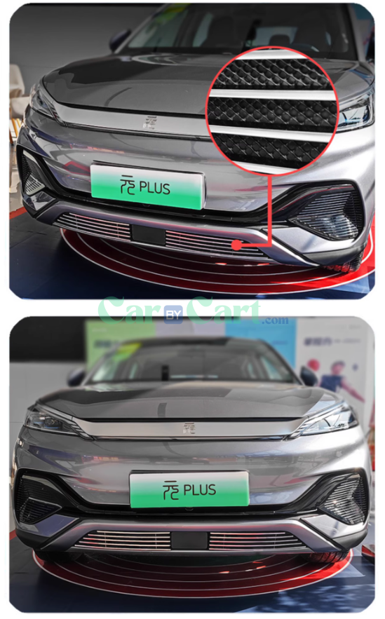 2024 Yuan PLUS Honor insect net