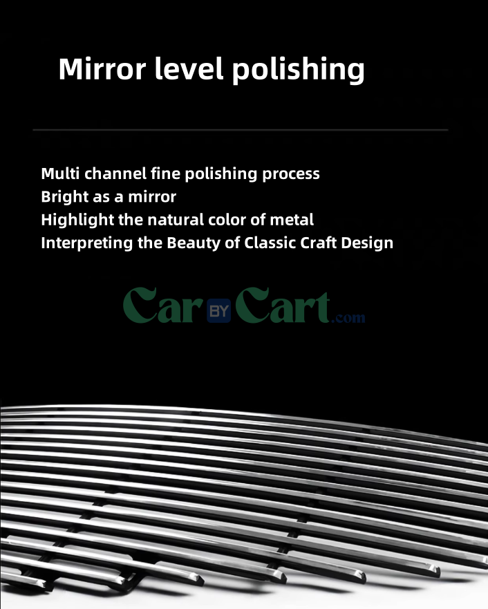 2024 Yuan PLUS Honor insect net