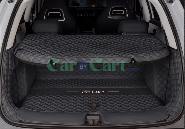 2024 Yuan UP Trunk mat and Partition pad