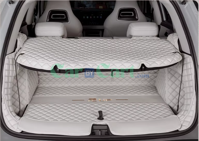 2024 Yuan UP Trunk mat and Partition pad