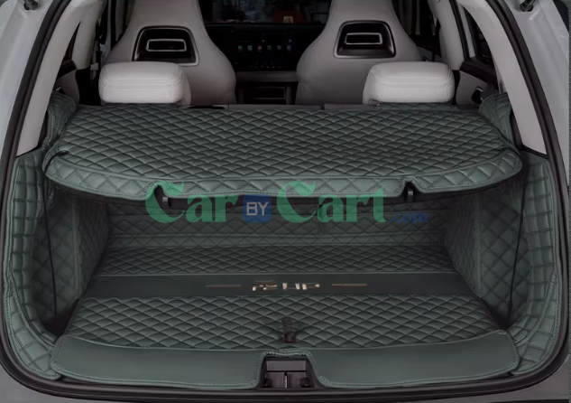 2024 Yuan UP Trunk mat and Partition pad