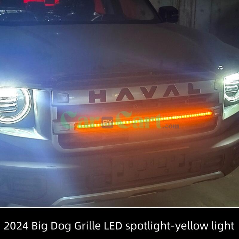 2024 Big Dog Grille LED spotlight