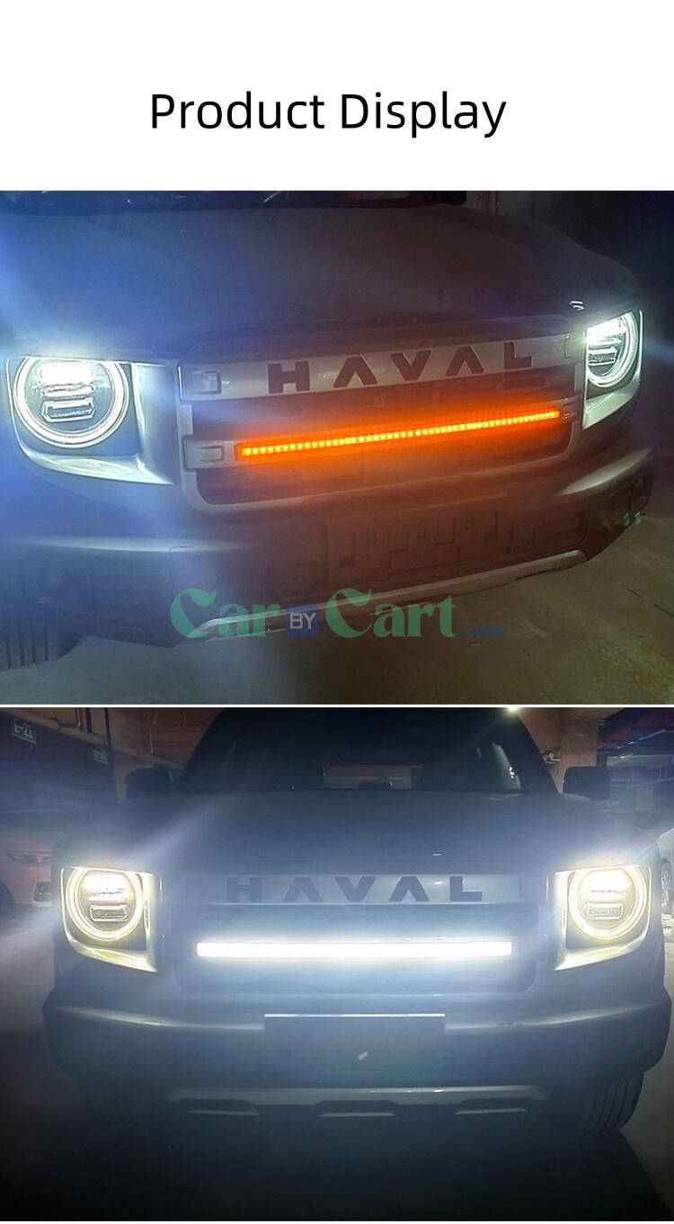 2024 Big Dog Grille LED أضواء كاشفة