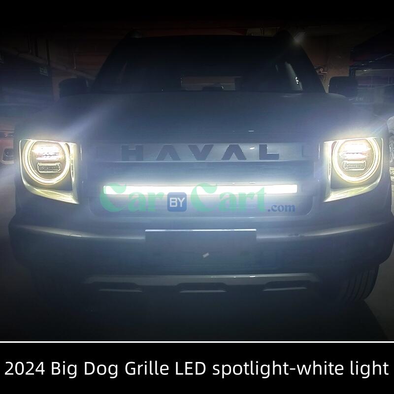 2024 Big Dog Grille LED أضواء كاشفة