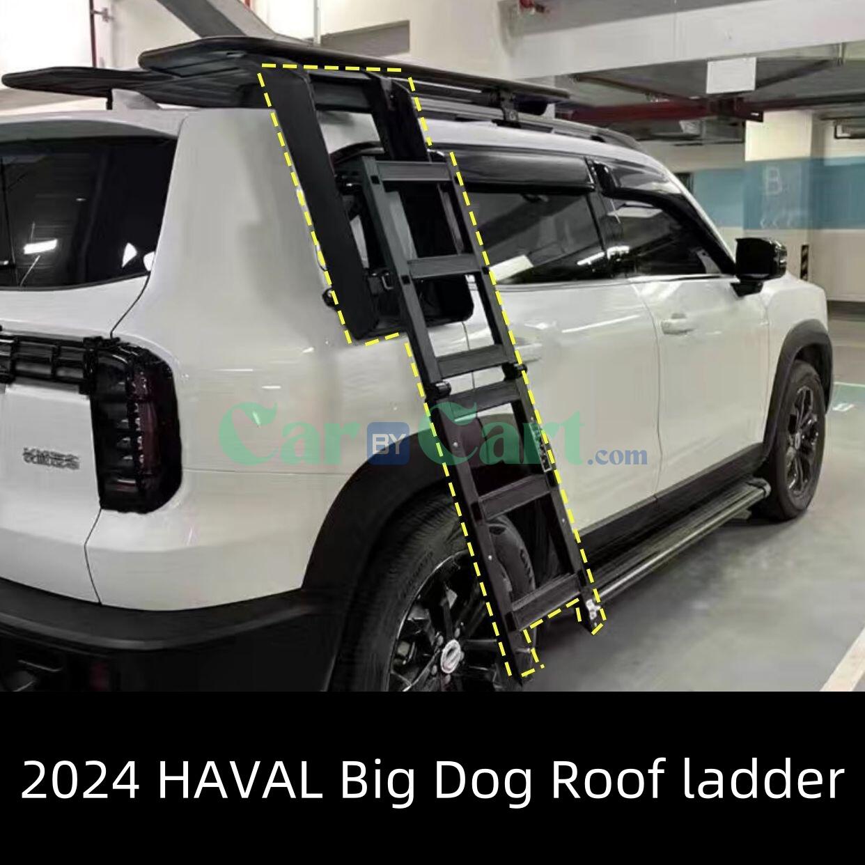 2024 هافال بيج دوج روف منصة رف سلم