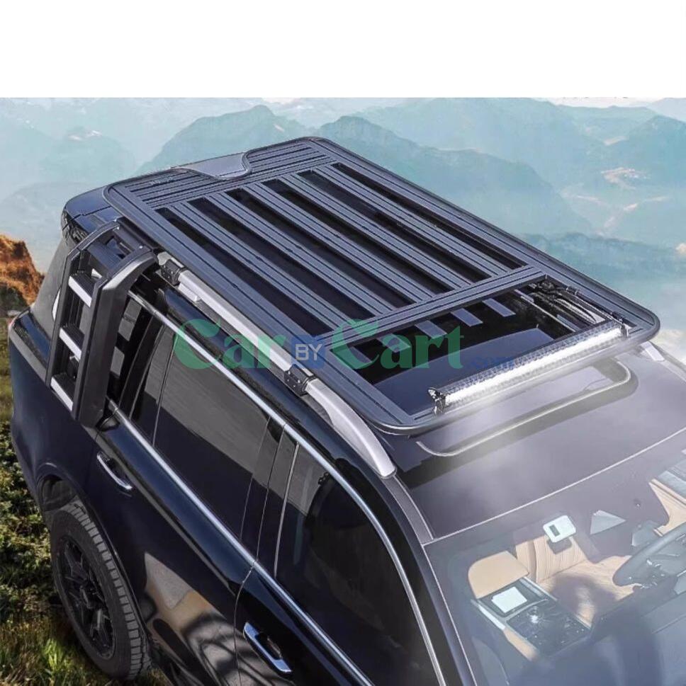 2024 هافال بيج دوج روف منصة رف سلم